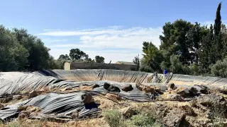 Land for sale in Um Al Jimal – photo 4