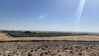 Land for sale in Um Al Jimal – photo 3