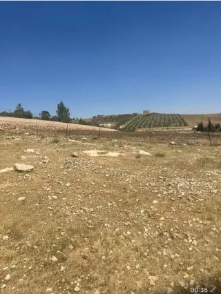 Land for sale in Hayyan Al Moshref – photo 6