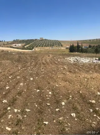 Land for sale in Hayyan Al Moshref – photo 5