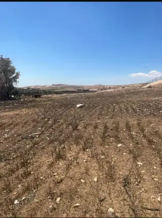 Land for sale in Hayyan Al Moshref – photo 2