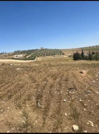 Land for sale in Hayyan Al Moshref – photo 3