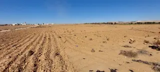 Land for sale in Al-Khirba Al-Samra – photo 3
