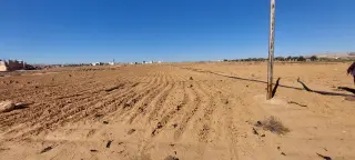 Land for sale in Al-Khirba Al-Samra – photo 2