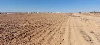 Land for sale in Al-Khirba Al-Samra – photo 6