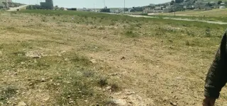 Land for sale in Al-Hamra – photo 4