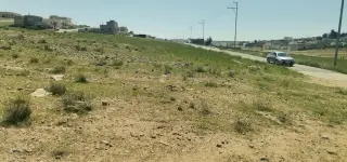 Land for sale in Al-Hamra – photo 5