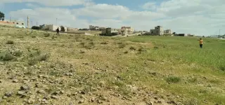 Land for sale in Al-Hamra – photo 6