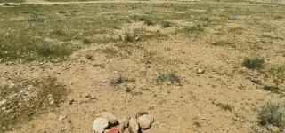 Land for sale in Al-Hamra – photo 3