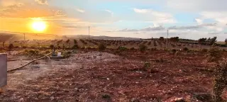 أرض للبيع في Romtha – صورة 4