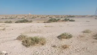 أرض للبيع في أخرى – صورة 8