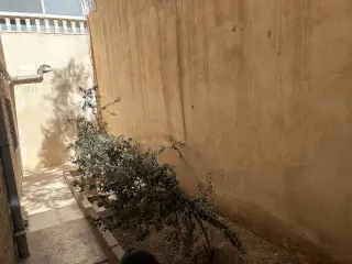 Apartment for sale in Marka Al Shamaliya – photo 9