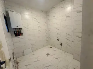 الصورة 4 من 12