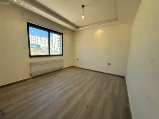 الصورة 11 من 12