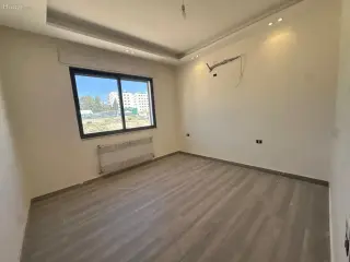 الصورة 8 من 12