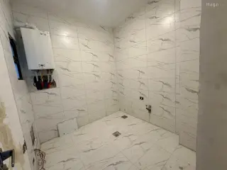 الصورة 5 من 12