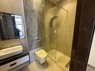 الصورة 12 من 12