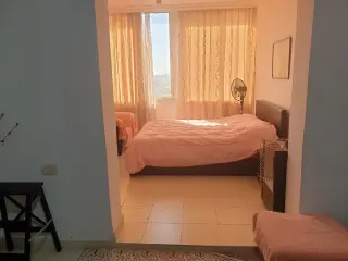 Apartment for rent in Sports City Road – photo 6