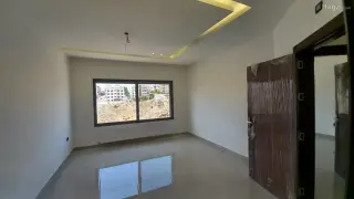 الصورة 11 من 11