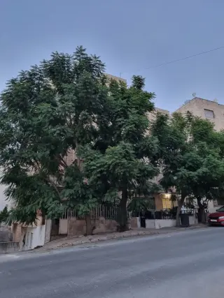 Apartment for rent in Tla' Al Ali Al Shamali – photo 12