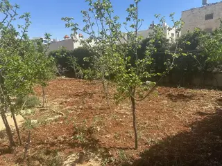 Villa for sale in Al Jandaweel – photo 11