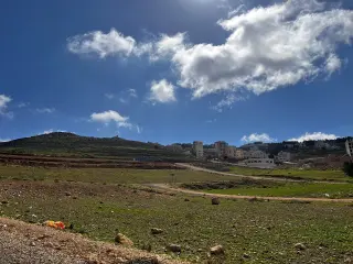أرض للبيع في صافوط – صورة 6