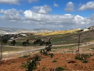 أرض للبيع في صافوط