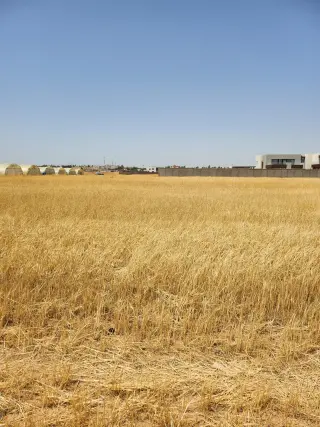 Land for sale in Umm Al-Amad – photo 2