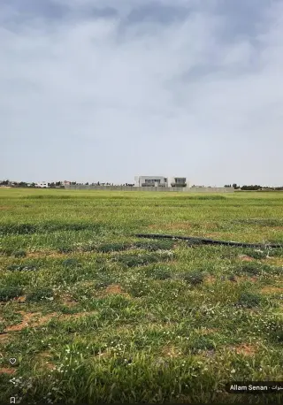 Land for sale in Umm Al-Amad