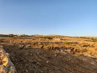 أرض للبيع في وادي السير – صورة 5