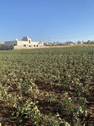 Land for sale in Jawa – photo 14