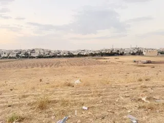 Land for sale in Al Jwaydeh – photo 2