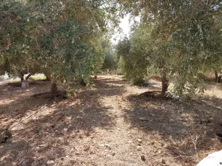 أرض للبيع في البحاث