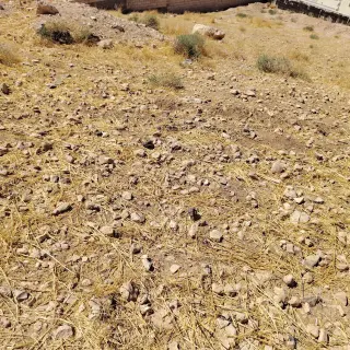 Land for sale in Alkhashafia – photo 8
