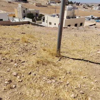 Land for sale in Alkhashafia – photo 2