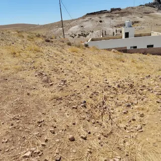 Land for sale in Alkhashafia