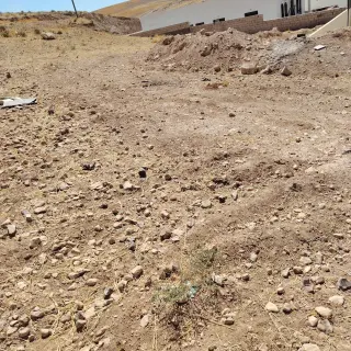 Land for sale in Alkhashafia – photo 9