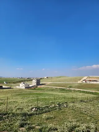 Land for sale in Almih St – photo 11