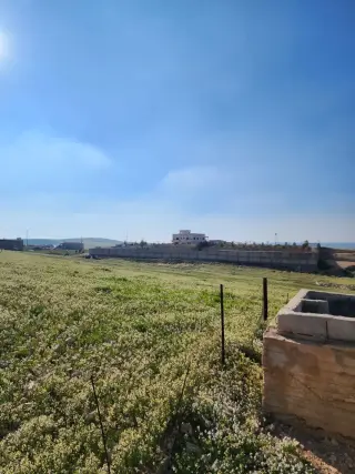 Land for sale in Almih St – photo 12