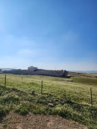 Land for sale in Almih St – photo 3