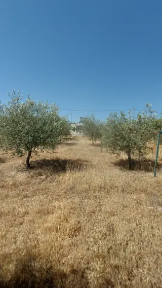 Land for sale in Salem – photo 2