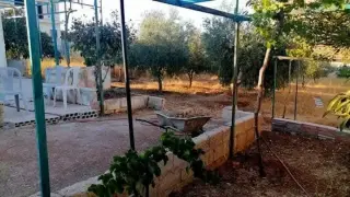 Land for sale in Salem – photo 5