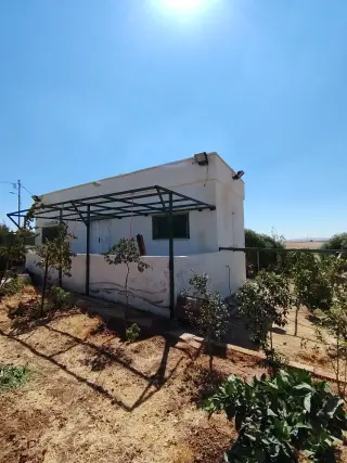 Land for sale in Umm Al-Rasas – photo 6