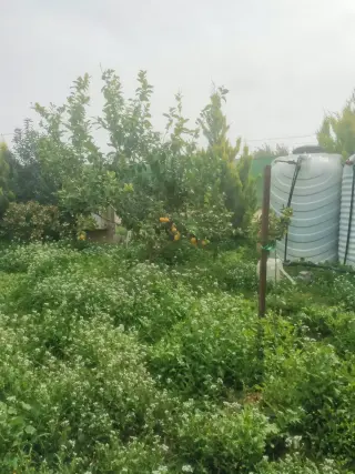 Land for sale in Umm Al-Rasas – photo 3