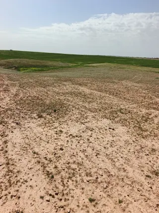 Land for sale in Umm Al-Rasas – photo 6