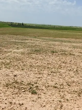 Land for sale in Umm Al-Rasas – photo 5
