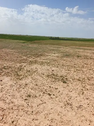 Land for sale in Umm Al-Rasas