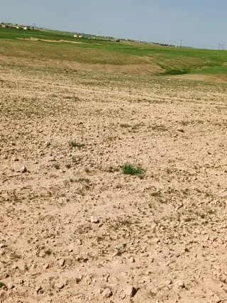 Land for sale in Umm Al-Rasas – photo 4
