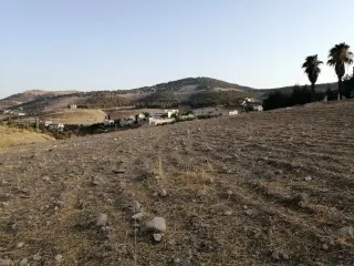 أرض للبيع في شارع الاردن