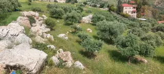 Land for sale in Abu Al-Sous – photo 3
